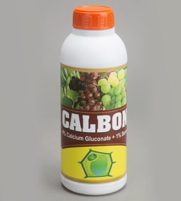 CALBON