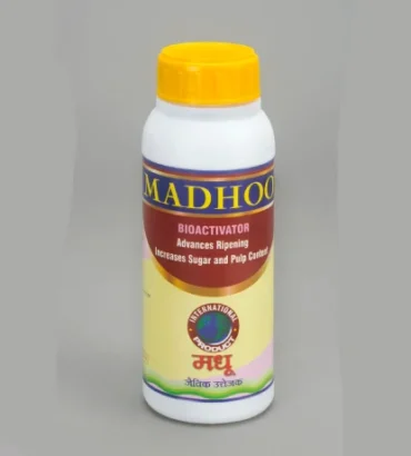 Madhoo